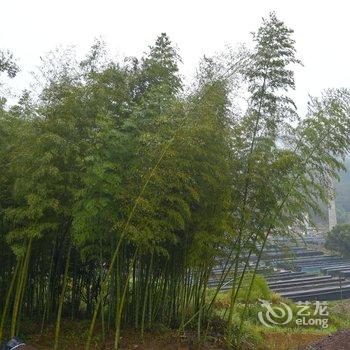 丽水旅安居民宿酒店提供图片