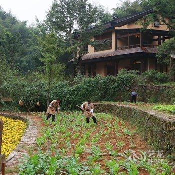 桃花源爱春居酒店提供图片