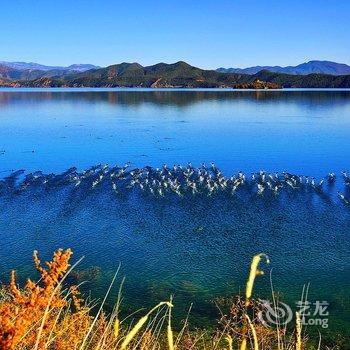 泸沽湖观澜客栈酒店提供图片