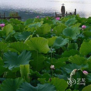 腾冲映古客栈酒店提供图片