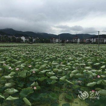 杭州尧叔民宿酒店提供图片