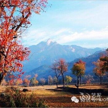 罗田印象红叶山庄酒店提供图片