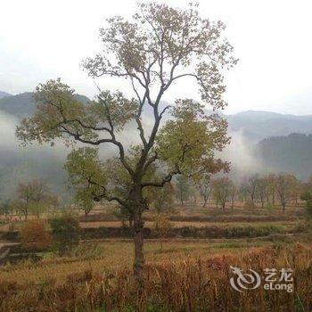 罗田印象红叶山庄酒店提供图片