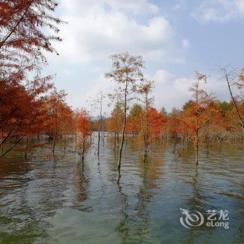 宁国山里山外生态农庄农家乐酒店提供图片