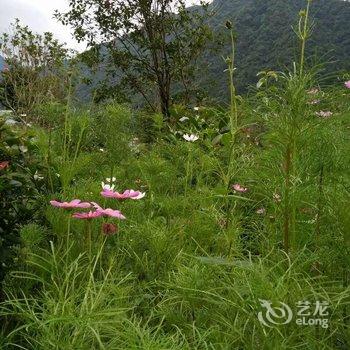 玉山华鑫山庄酒店提供图片