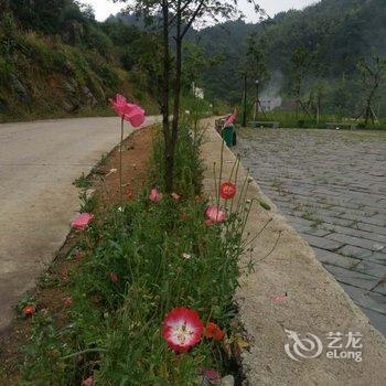 玉山华鑫山庄酒店提供图片