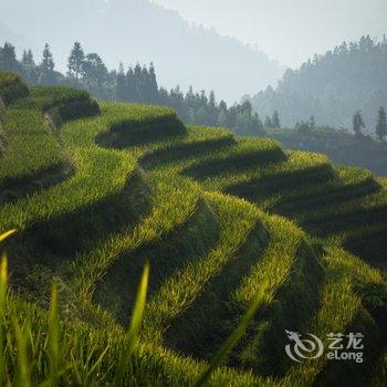 龙胜梯田田家阁民宿酒店提供图片