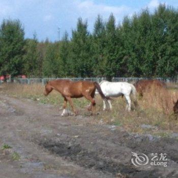 丰宁坝上草原山庄农家院酒店提供图片