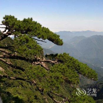 玉山华鑫山庄酒店提供图片