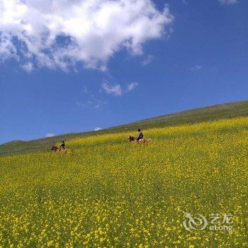 丰宁坝上草原山庄农家院酒店提供图片