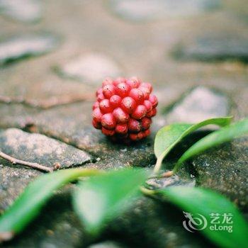 临安神龙川度假村酒店提供图片