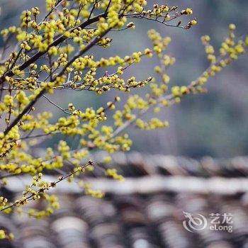 临安神龙川度假村酒店提供图片