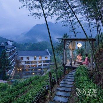 武夷山陶然有山茶空间美学度假山居酒店提供图片