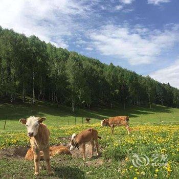 阿勒泰布尔津禾木信马游疆客栈酒店提供图片