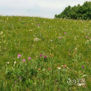 承德张东农家院酒店提供图片