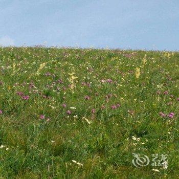 承德张东农家院酒店提供图片