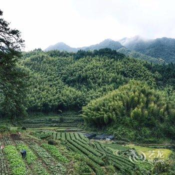 松阳静觅民宿酒店提供图片