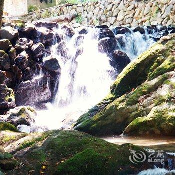 松阳静觅民宿酒店提供图片