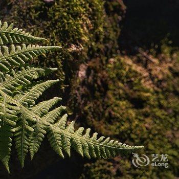 松阳静觅民宿酒店提供图片