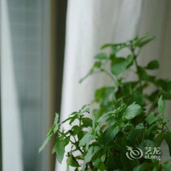 广州拾月民宿酒店提供图片