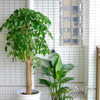 广州拾月民宿酒店提供图片