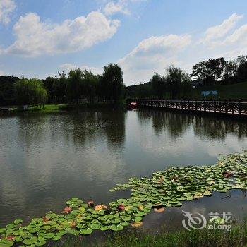 自贡森海温泉度假酒店酒店提供图片