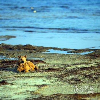 北海涠洲岛听海小筑临海客栈酒店提供图片