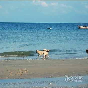 北海涠洲岛听海小筑临海客栈酒店提供图片