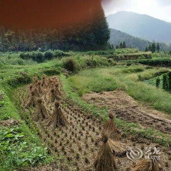 资兴东江湖金玲农家酒店提供图片