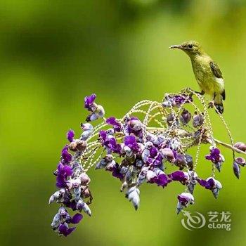 永嘉芙蓉小庐酒店提供图片