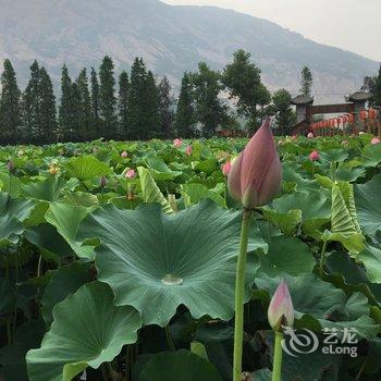 永嘉芙蓉小庐酒店提供图片