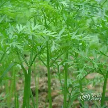 上饶三清山鸿达农庄酒店提供图片