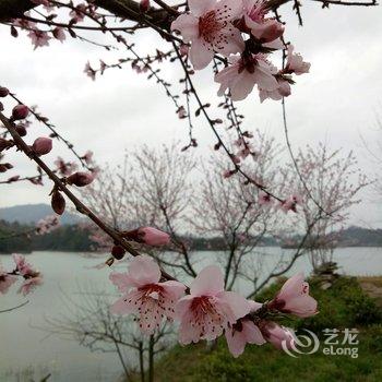 黄山佛光湖大酒店酒店提供图片