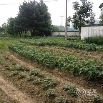 宣城泾县柳溪山庄酒店提供图片