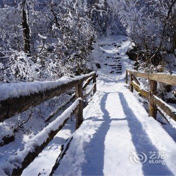 成都西岭雪山阳光假日酒店酒店提供图片