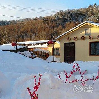 雪乡二浪河大丰收农家院酒店提供图片