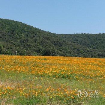 无锡拈花湾禅心雅居客栈酒店提供图片