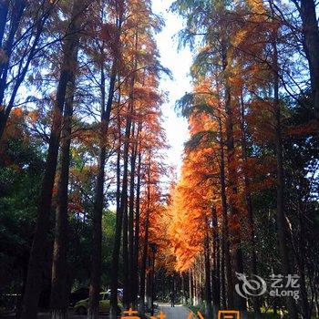 九江浔庐青年旅舍酒店提供图片