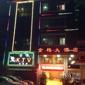 梅州蕉岭金梅大酒店酒店提供图片