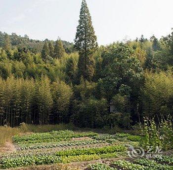 莫干山村暖·隐莫干酒店提供图片