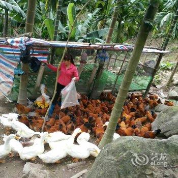 保亭七仙温泉山村客栈酒店提供图片