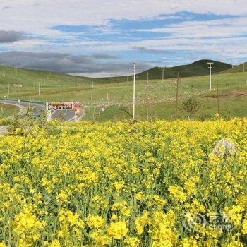 祁连绿逸草原生态驿站酒店提供图片