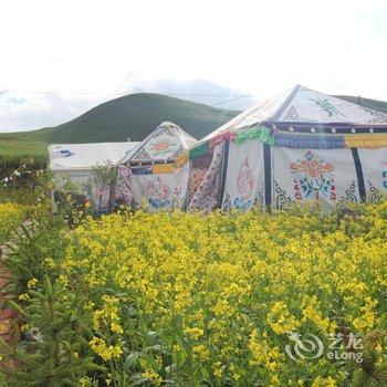 祁连绿逸草原生态驿站酒店提供图片