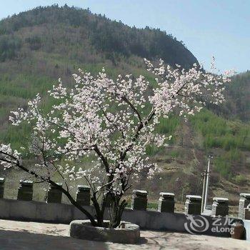 宁武芦芽山根据地宾馆酒店提供图片