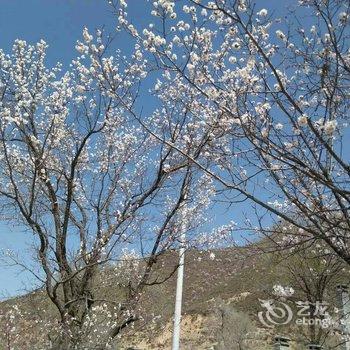 宁武芦芽山根据地宾馆酒店提供图片