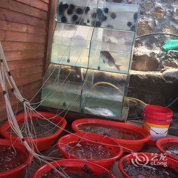 平阳南麂岛林元荣渔家乐酒店提供图片