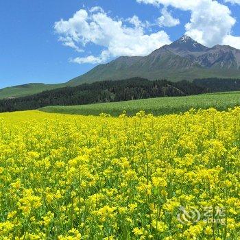 祁连馨怡家庭宾馆酒店提供图片