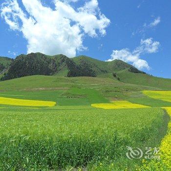 祁连馨怡家庭宾馆酒店提供图片