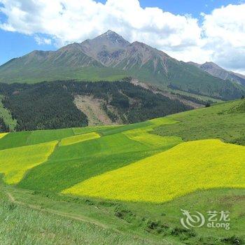 祁连馨怡家庭宾馆酒店提供图片