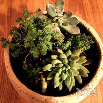 广州Magic Place民宿酒店提供图片